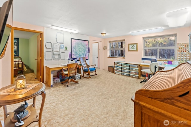view of carpeted office space