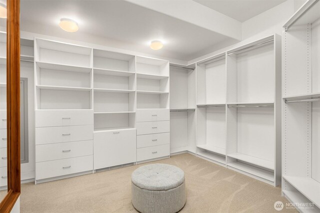 27909 SE 268th St, Ravensdale, WA 98051 - spacious closet featuring light colored carpet