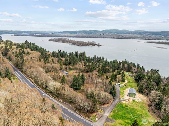 8 Twin Springs Dr, Cathlamet, WA 98612