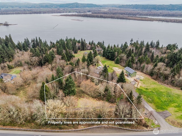8 Twin Springs Dr, Cathlamet, WA 98612