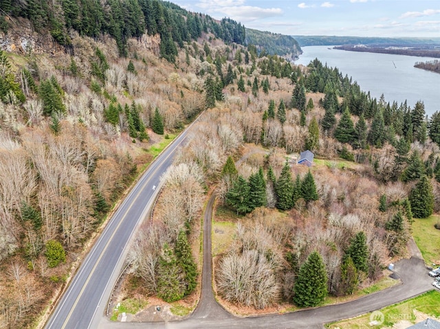 8 Twin Springs Dr, Cathlamet, WA 98612
