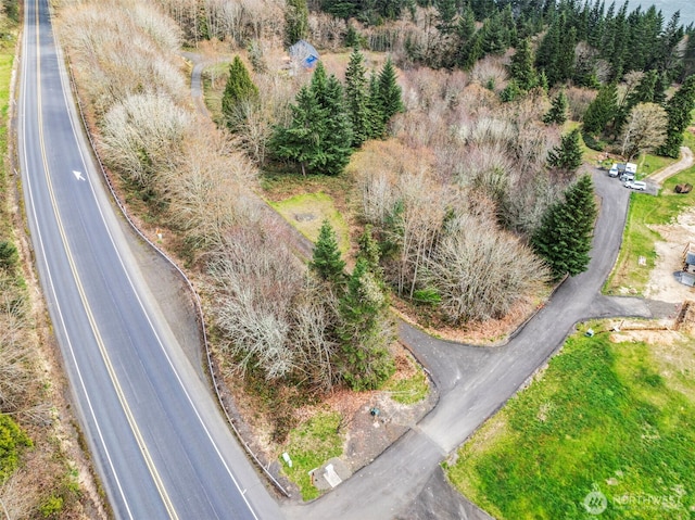 8 Twin Springs Dr, Cathlamet, WA 98612