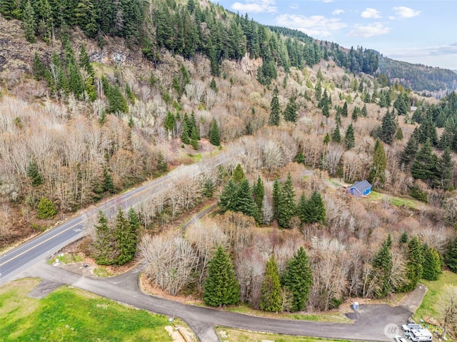 8 Twin Springs Dr, Cathlamet, WA 98612