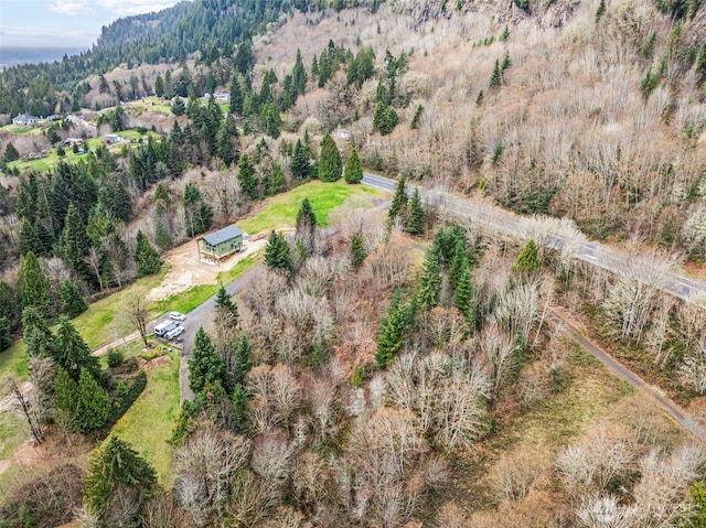 8 Twin Springs Dr, Cathlamet, WA 98612