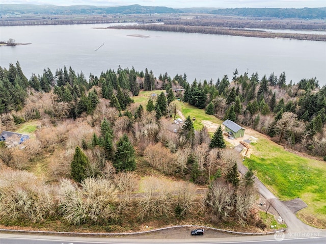 8 Twin Springs Dr, Cathlamet, WA 98612