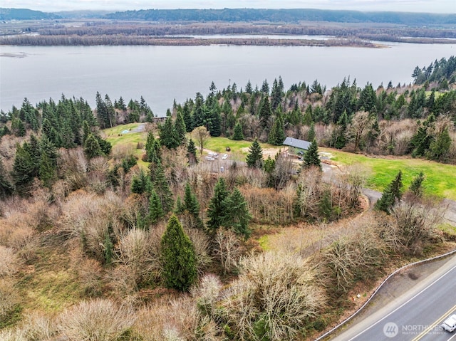 8 Twin Springs Dr, Cathlamet, WA 98612