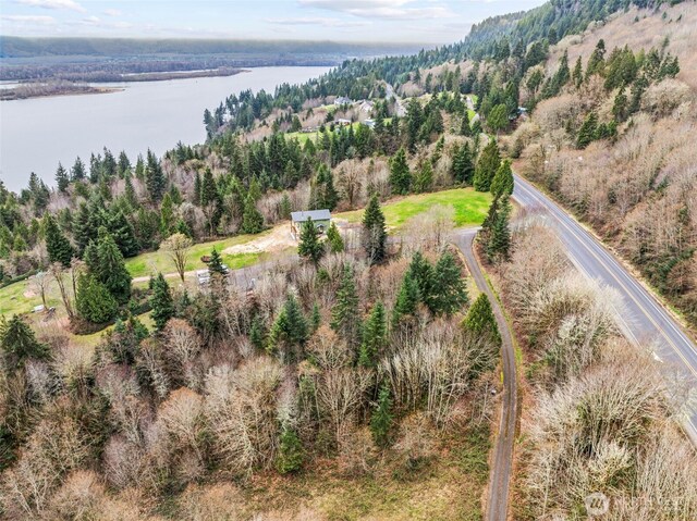 8 Twin Springs Dr, Cathlamet, WA 98612
