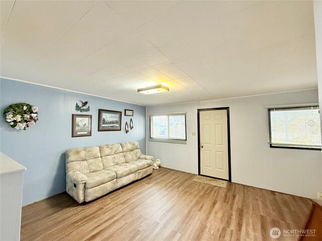 21 Cummings Ave, Elma, WA 98541 - living area featuring wood finished floors