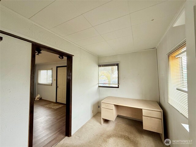 21 Cummings Ave, Elma, WA 98541 - unfurnished office featuring plenty of natural light, a textured wall, light carpet, and ornamental molding