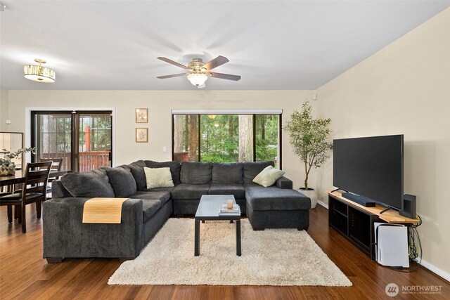 12427 129th Ave E, Puyallup, WA 98374 - living room with baseboards, ceiling fan, and dark wood finished floors