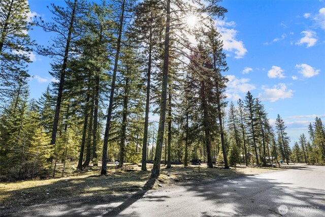 126 Wanawish Loop 0Lot, Cle Elum, WA 98922 - photo 2