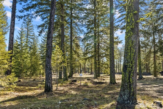 126 Wanawish Loop 0Lot, Cle Elum, WA 98922 - photo 3