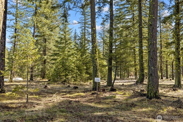 126 Wanawish Loop 0Lot, Cle Elum, WA 98922 - photo 4