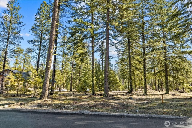 126 Wanawish Loop 0Lot, Cle Elum, WA 98922 - photo 5