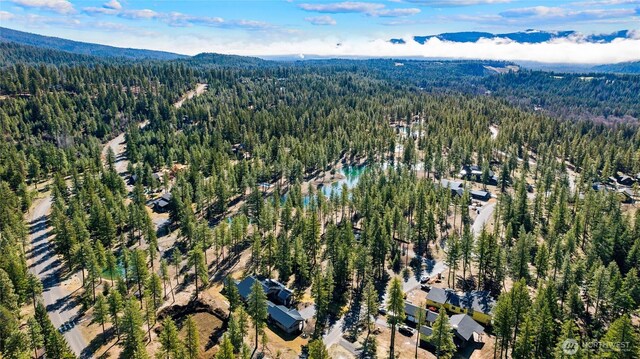 126 Wanawish Loop 0Lot, Cle Elum, WA 98922 - photo 8
