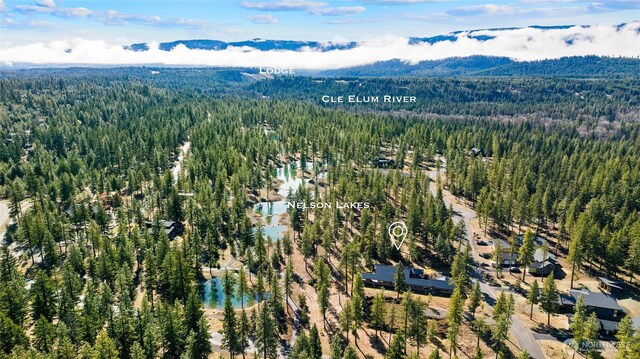 126 Wanawish Loop 0Lot, Cle Elum, WA 98922 - photo 9