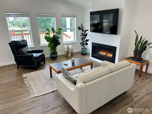 living area featuring a glass covered fireplace, baseboards, and wood finished floors
