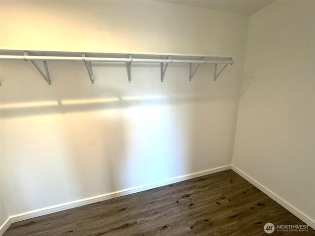 walk in closet featuring dark wood-style flooring