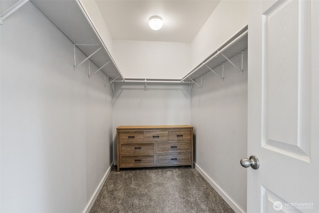 11320 S Stangland Rd, Medical Lake, WA 99022 - walk in closet featuring carpet