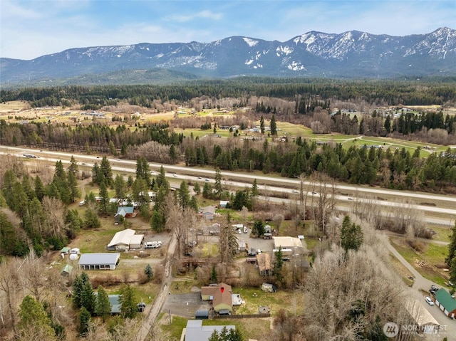 aerial view with a mountain view and a view of trees