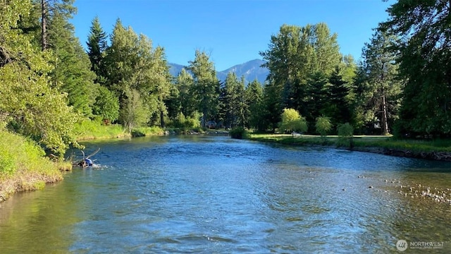 property view of water with a wooded view and a mountain view