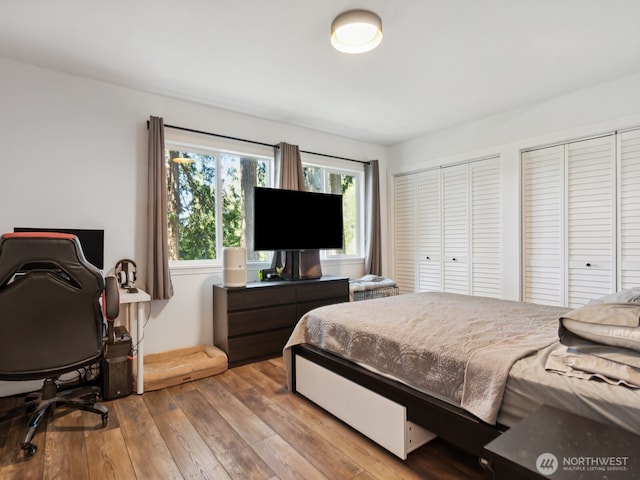 bedroom featuring two closets and wood-type flooring