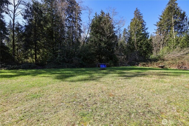 63 Lake Dr N, Amanda Park, WA 98526 - photo 4