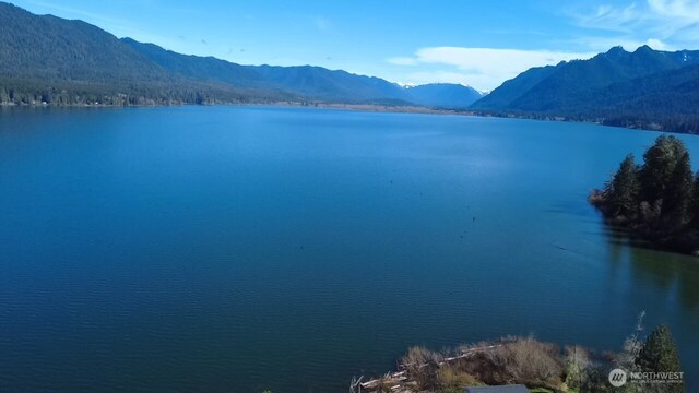 63 Lake Dr N, Amanda Park, WA 98526 - photo 9
