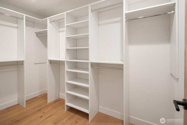 walk in closet featuring light wood-type flooring