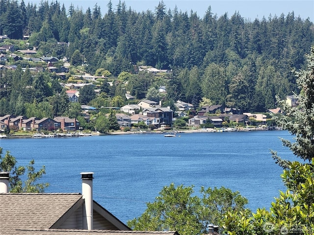 property view of water featuring a residential view