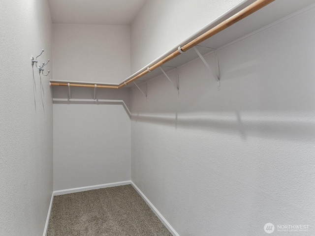 6012 91st Street Ct E, Puyallup, WA 98371 - walk in closet with carpet flooring