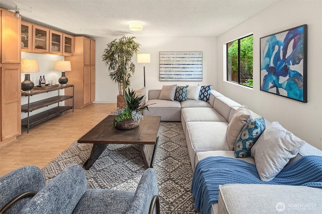 15126 NE 67th Pl, Redmond, WA 98052 - living area featuring a textured ceiling and light wood-style flooring