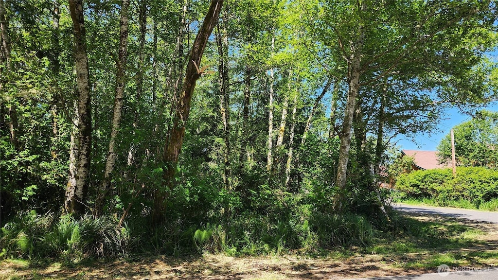 801 Duck Lake Dr NE, Ocean Shores, WA 98569