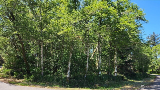 801 Duck Lake Dr NE, Ocean Shores, WA 98569