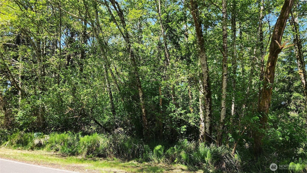 801 Duck Lake Dr NE, Ocean Shores, WA 98569