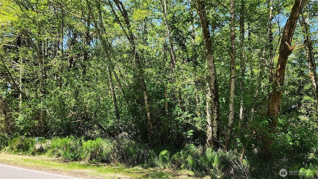 801 Duck Lake Dr NE, Ocean Shores, WA 98569