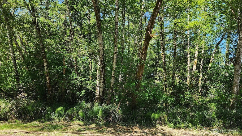 801 Duck Lake Dr NE, Ocean Shores, WA 98569