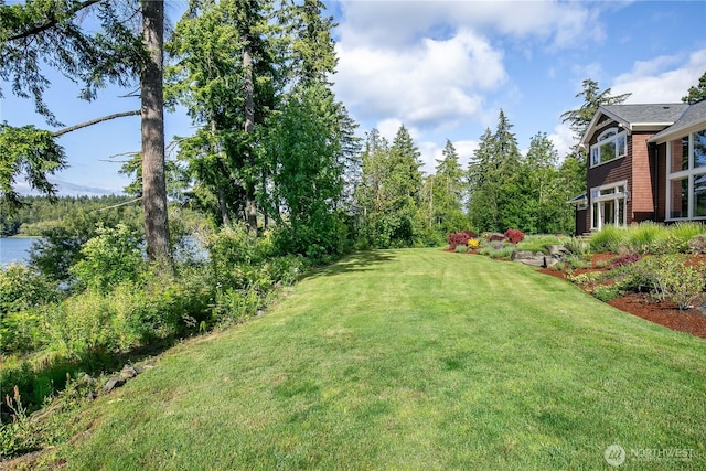 1220 Madrona Beach Rd NW, Olympia, WA 98502 - view of yard