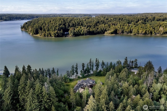 1220 Madrona Beach Rd NW, Olympia, WA 98502 - drone / aerial view featuring a water view and a forest view