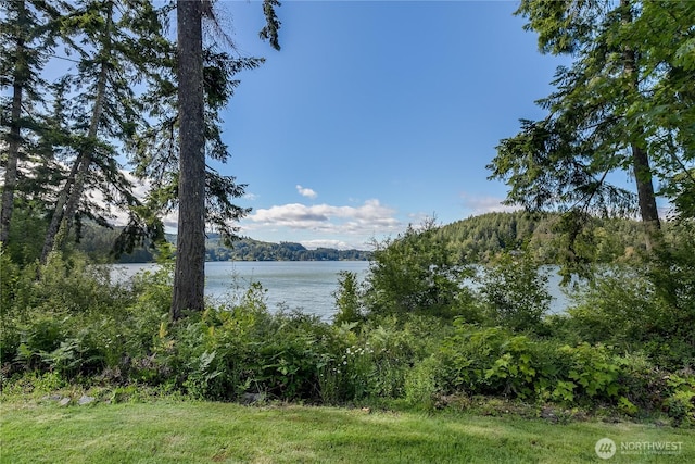 1220 Madrona Beach Rd NW, Olympia, WA 98502 - water view with a forest view