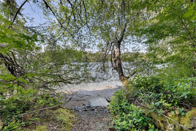 1220 Madrona Beach Rd NW, Olympia, WA 98502 - view of water feature