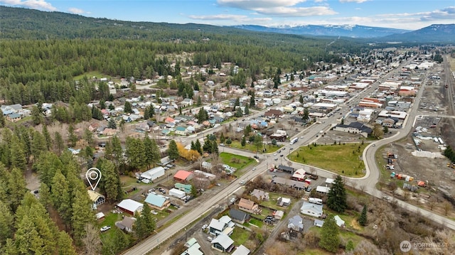 417 W 2nd St, Cle Elum, WA 98922 - bird's eye view featuring a wooded view and a mountain view