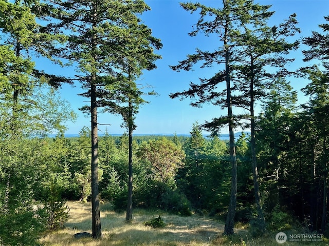 186 S Ridge Rd, Decatur Island, WA 98221 - view of nature with a wooded view