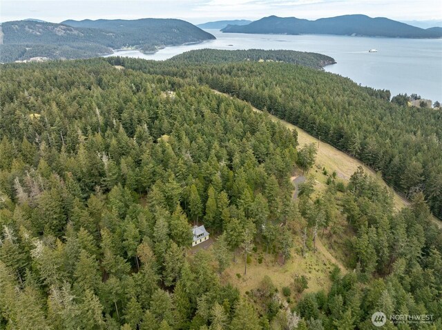 186 S Ridge Rd, Decatur Island, WA 98221 - bird's eye view with a forest view and a water and mountain view