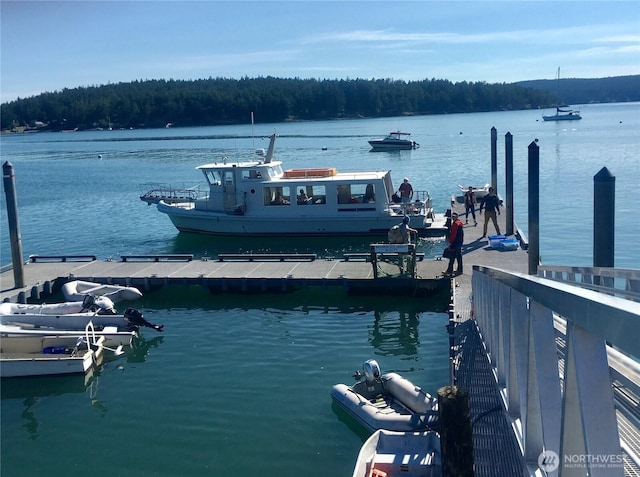 186 S Ridge Rd, Decatur Island, WA 98221 - dock area with a water view and a view of trees