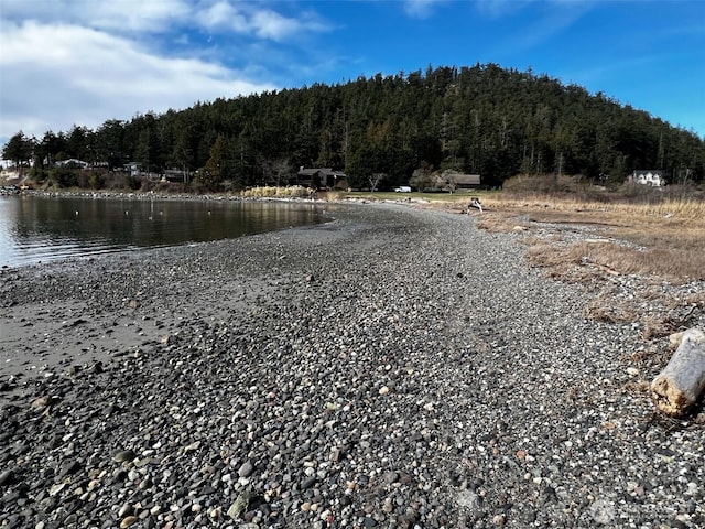 186 S Ridge Rd, Decatur Island, WA 98221 - property view of water featuring a view of trees