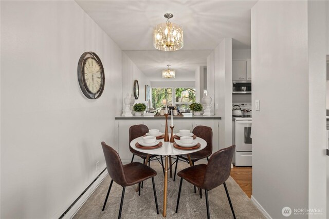 6201 Lake Washington Blvd NE Unit 206, Kirkland, WA 98033 - dining space featuring baseboards, wood finished floors, a baseboard heating unit, and a notable chandelier