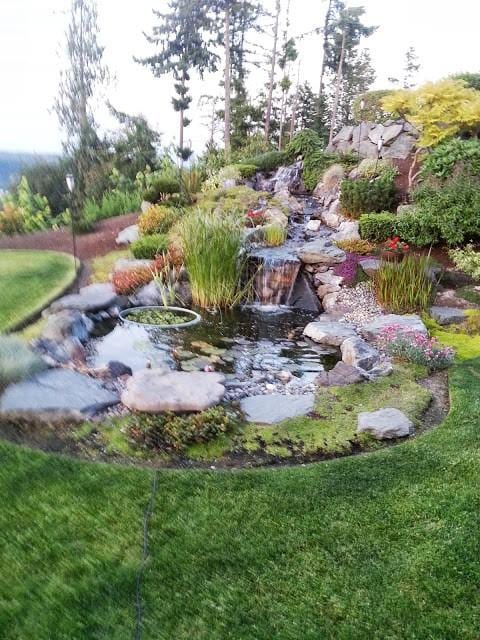 view of yard with a garden pond