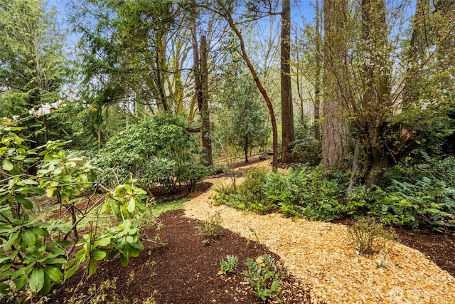 10035 NE Kingston Farm Rd, Kingston, WA 98346 - photo 3