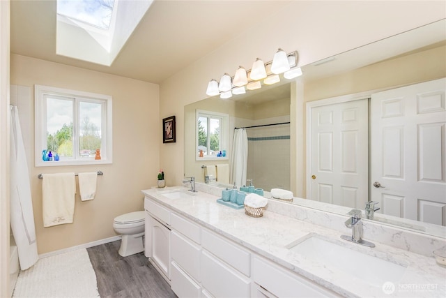 full bathroom with toilet, a sink, a skylight, and double vanity